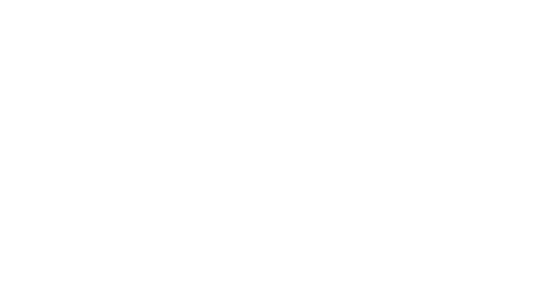 Princes Trust