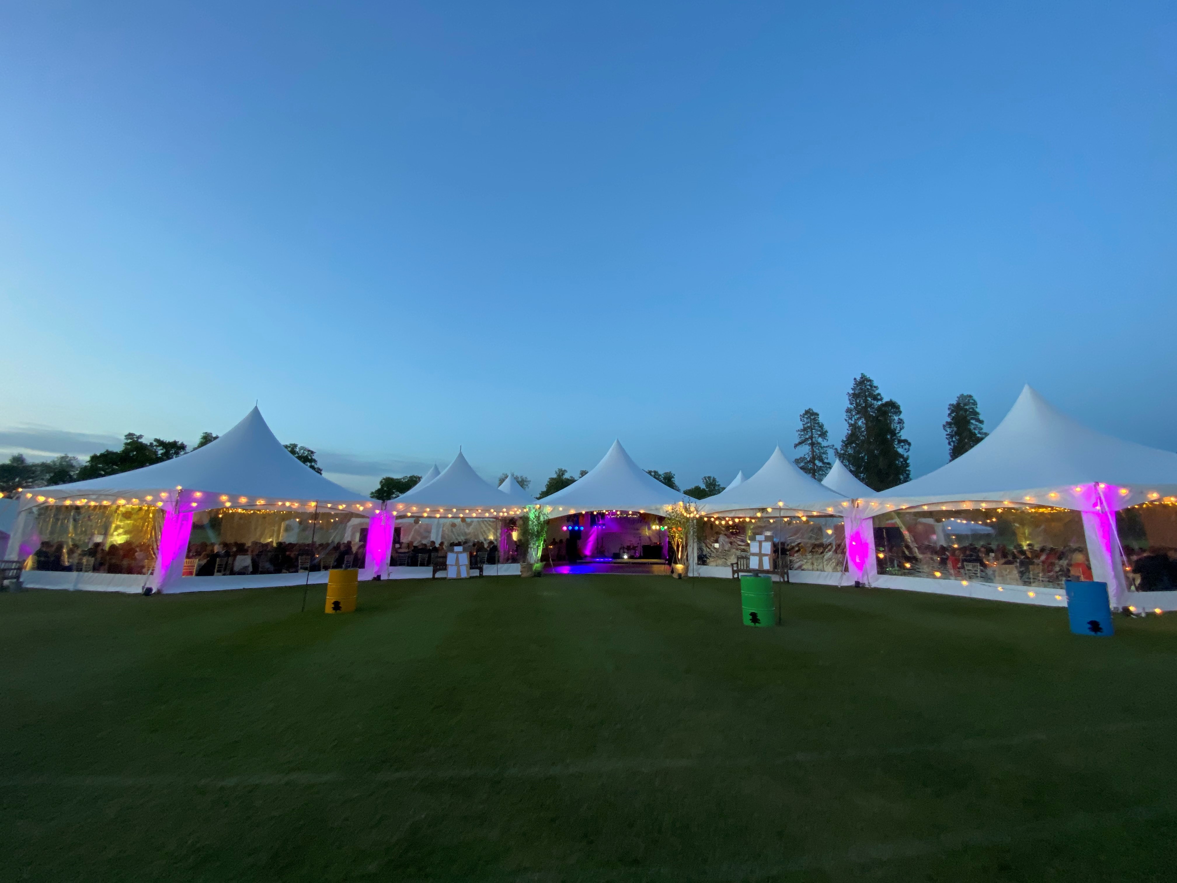Capri, Pagoda or HEX: Which Marquee Is Right For Your Party?